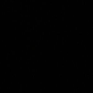 Meet your Posher, Kara